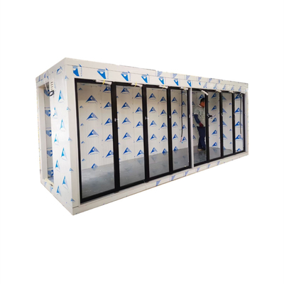 Container High Temperature Meat Room Fresh Maturation Room Building Movable Cold Fan Freezing Cold Storage Room For Fish Meat And Vegetables