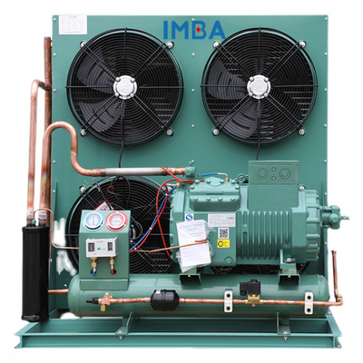 Cold Room Cold Room Unit Compressor Cold Storage Room Frozen Food Fruit Condensing Warehouse