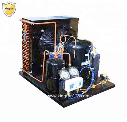 Hotels 1/2HP Refrigeration Condensing Unit, Cold Room Condensing Unit, Mini Condensing Unit