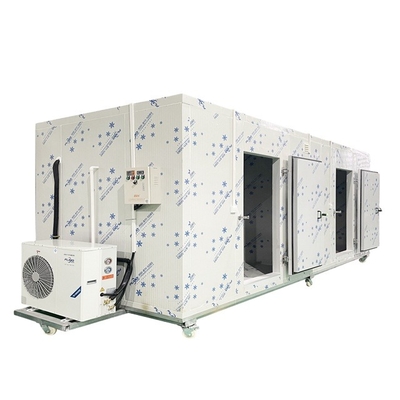Cold room freezer cold storage room for Ice cube storage vegetables